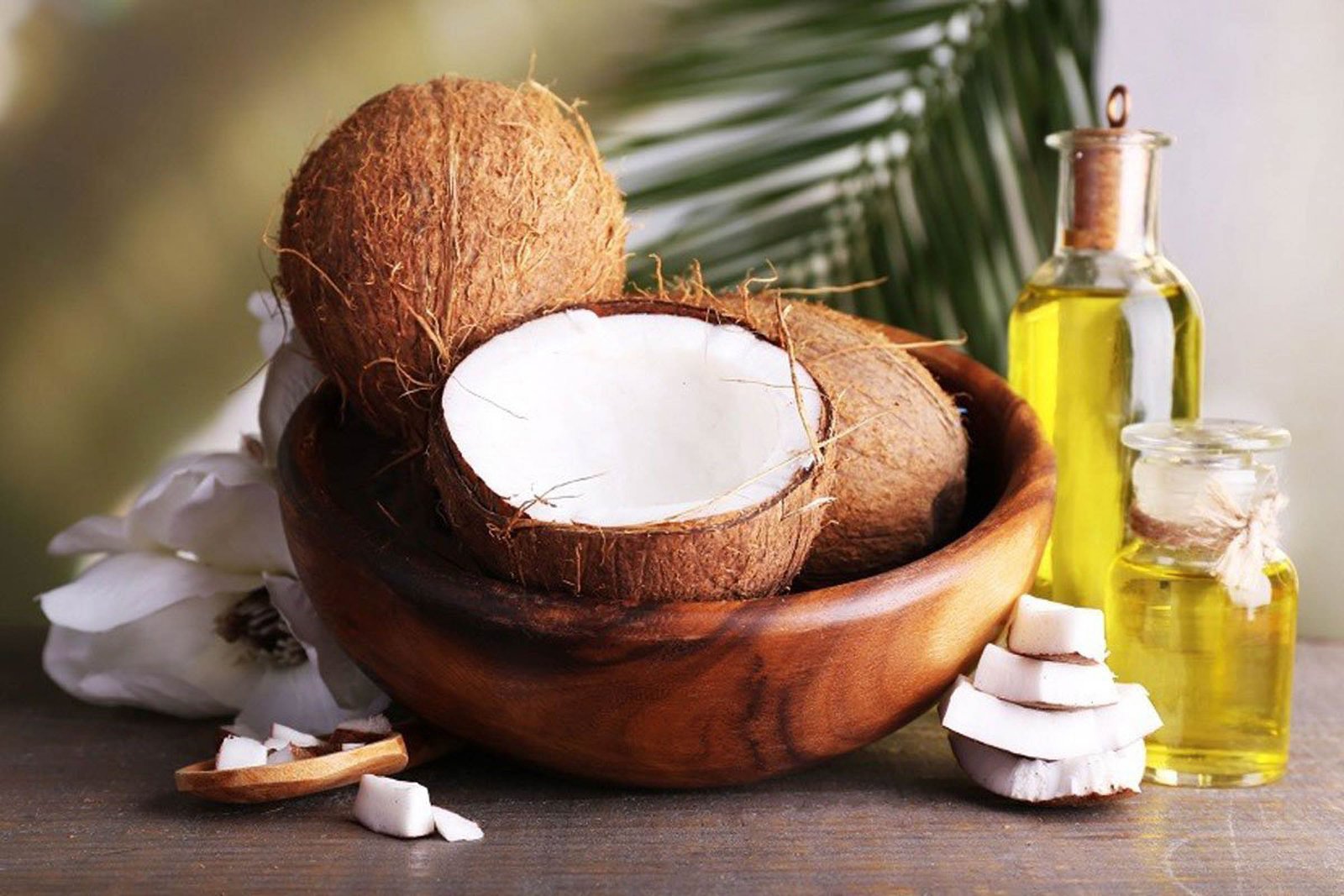 20241128-Cocount_oil_1-2775867608-Enhanced-SR